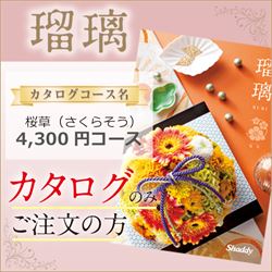 瑠璃　桜草（さくらそう）（4300円コース）カタログのみ【合わせて30部以上ご購入の方専用】